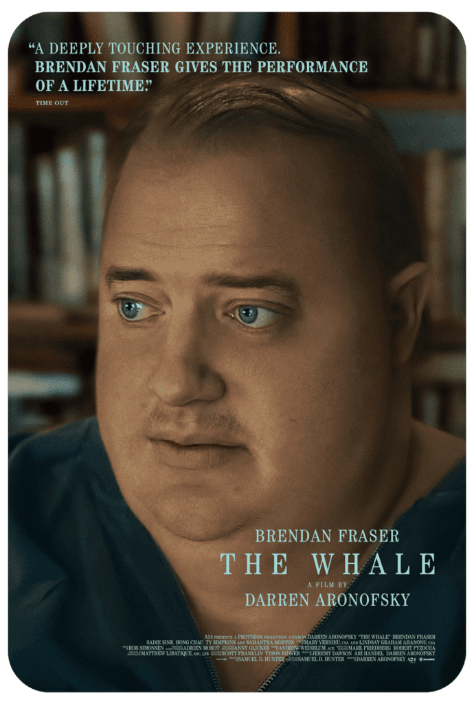 Catch all the live sports action with IPTV Ireland, your trusted IPTV provider for sports and entertainment in Ireland and the UK